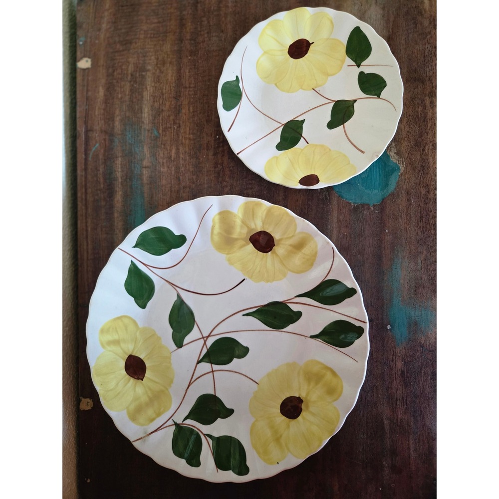 Blue Ridge Southern Potteries Hand Painted Daisy Plates Set of 2 Yellow Flower